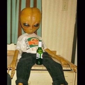 Meet your Posher, Brady